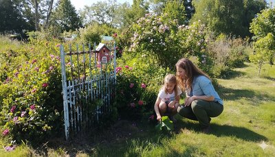 A la Recherche de Good Slow Tea