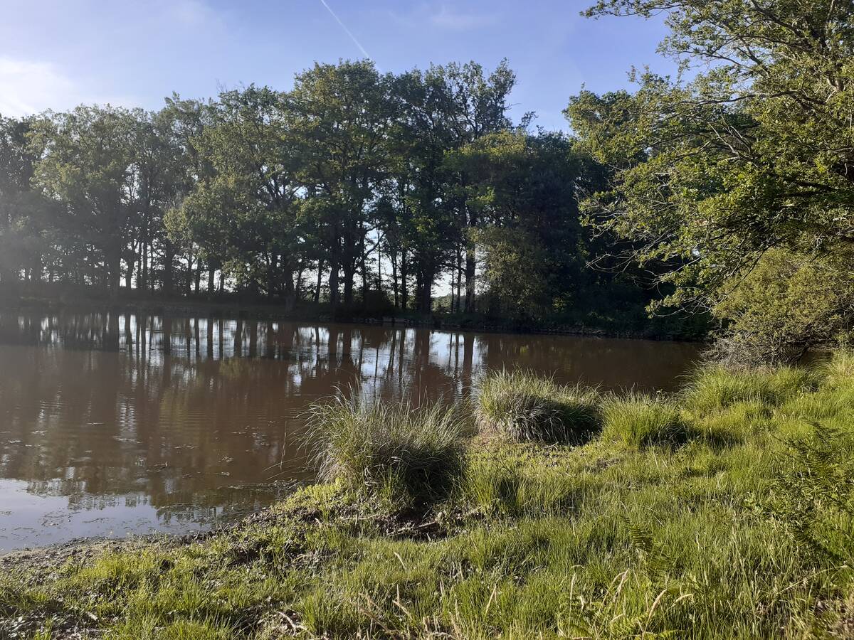 Brandes Montmorillon