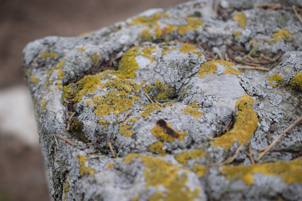 Nécropole Mérovingienne Randonnées en Sud Vienne Poitou