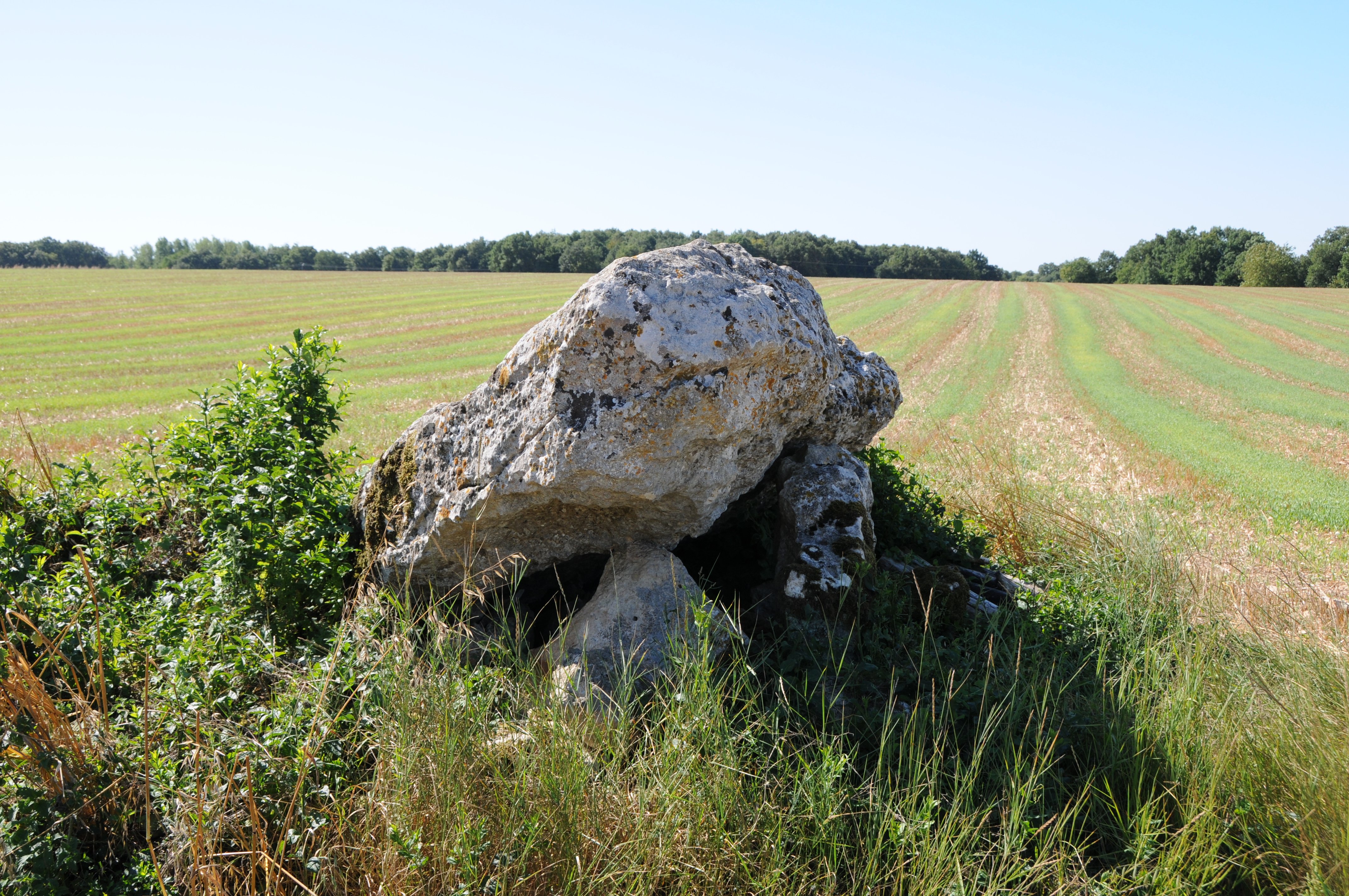 Dolmens de Villaigue - Saint Martin L’Ars ©Béatrice Guyonnet (2).JPG_1