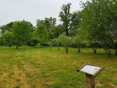 Arboretum - La Bussière ©OTVG (1).jpg_1