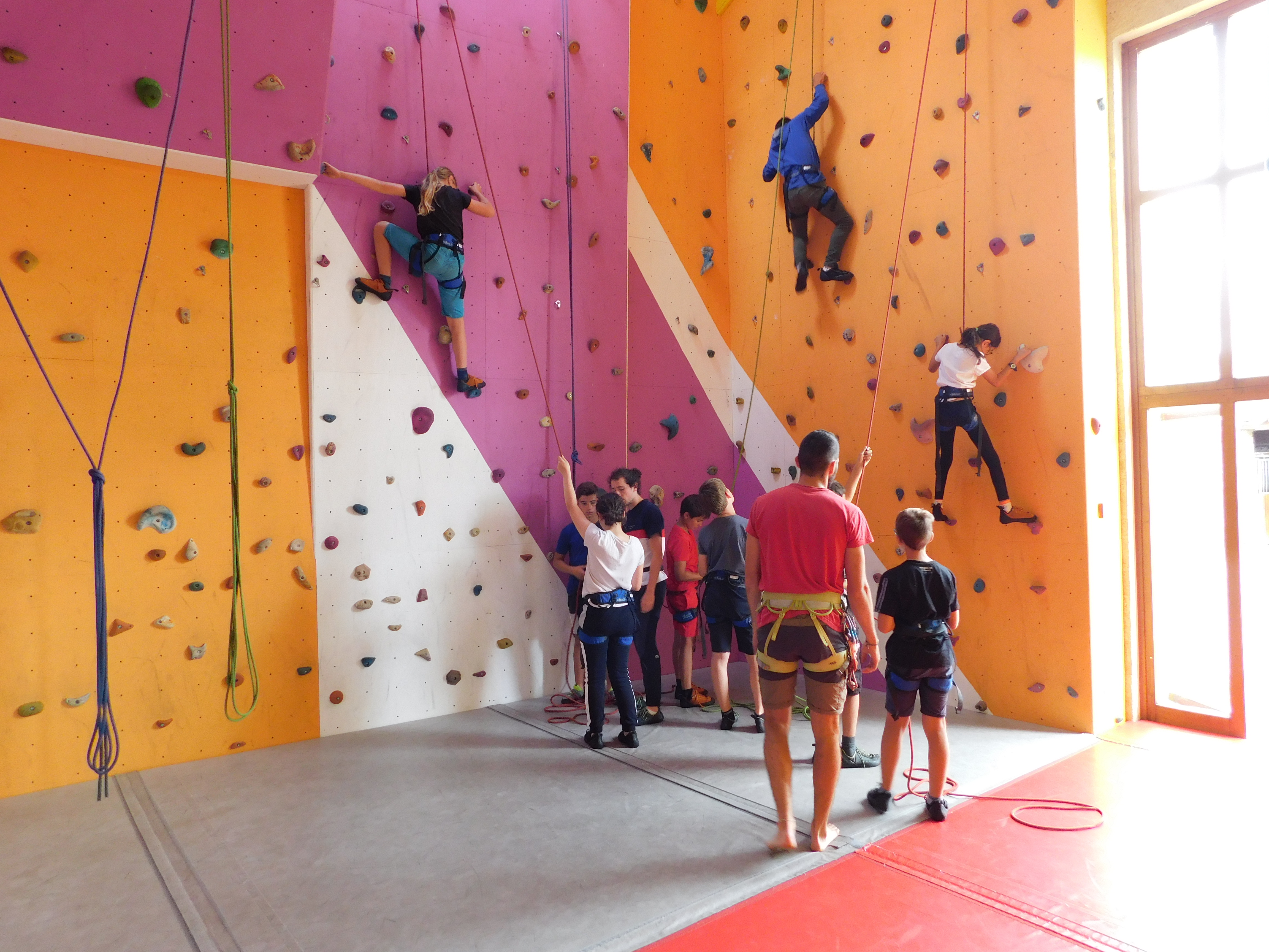 Salle d'escalade