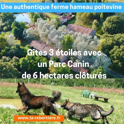 Gîte avec parc canin