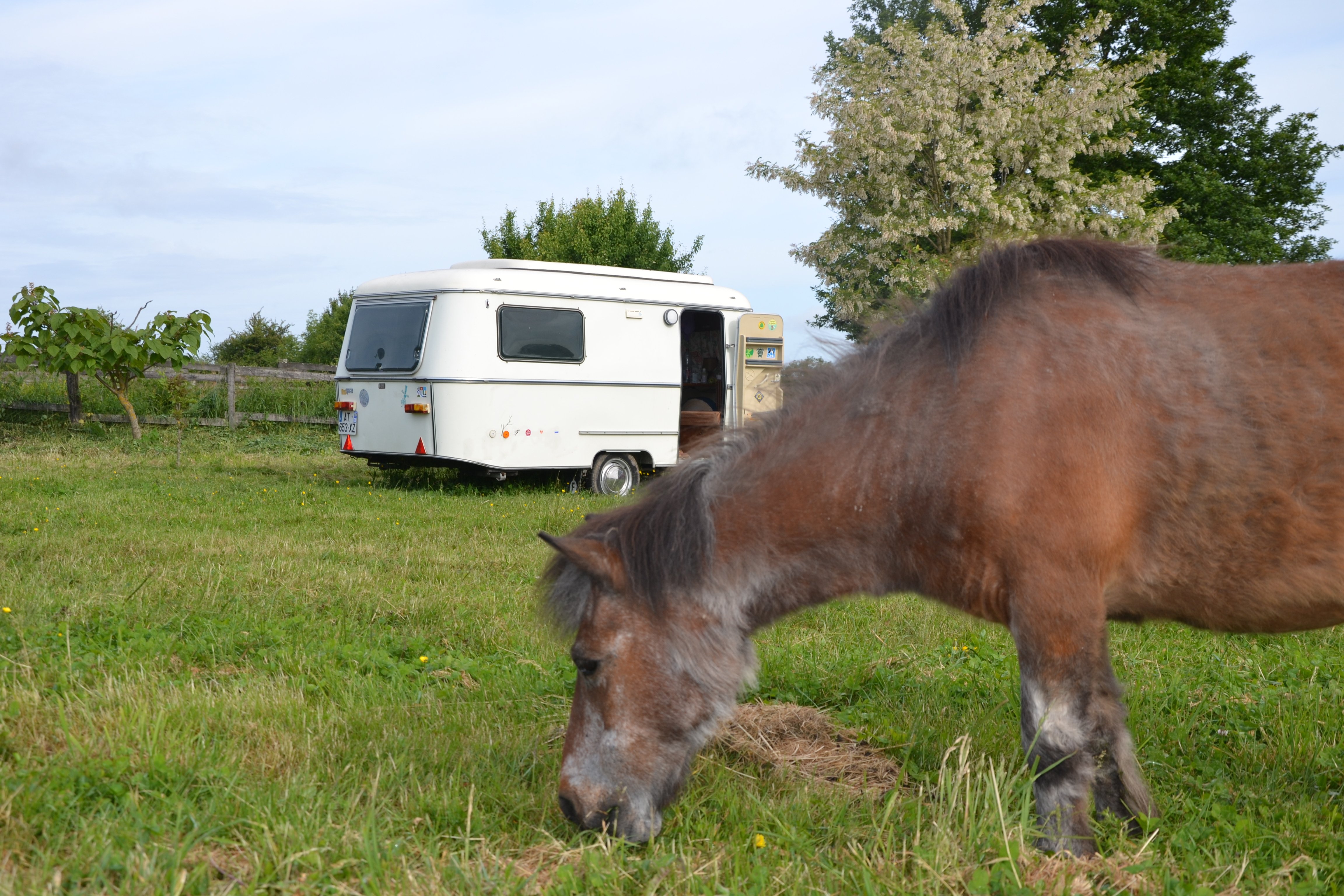 Camping Vallée des cerfs - Luchapt ©Vallée des cerfs.JPG_1