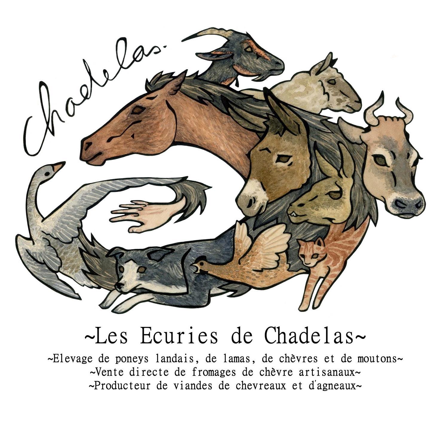 Les Ecuries de Chadelas