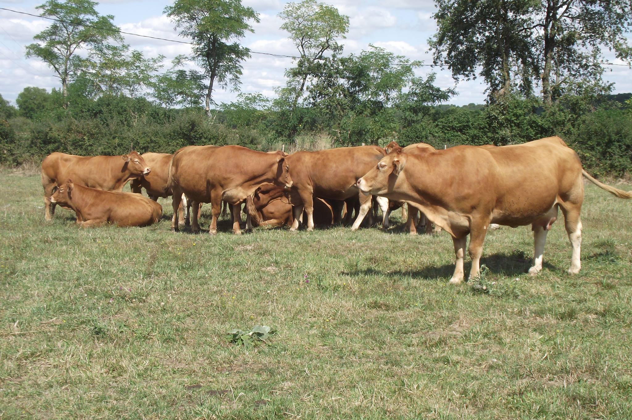 La Ferme de Chaumeil