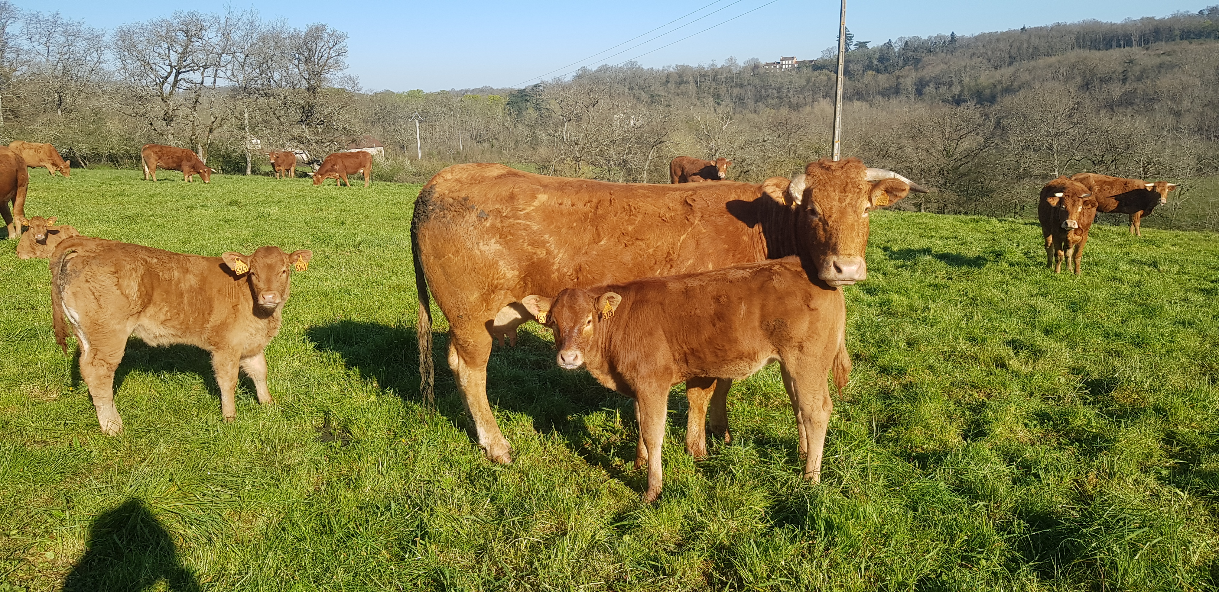 20200404_094617