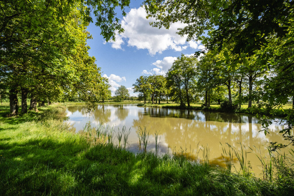 Plan d'eau de Saint-Rémy