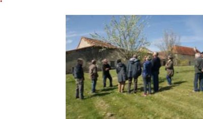 taille et greffe au verger à Juillé Ecomusee du Montmorillonnais