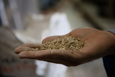 04 - Visite Bières de Montmorillon