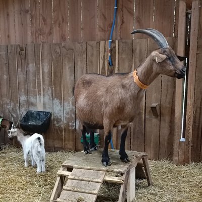 05 - Visite Ferme des Délices