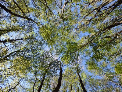 image pr pub Poitou-Rille-P4196315