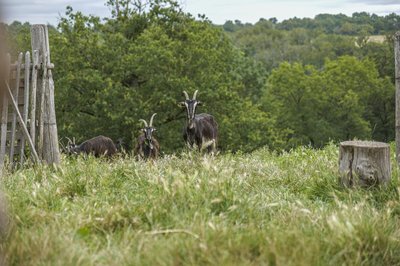10 - Visite Ferme pédagogique