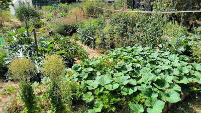 Le jardin : tout un monde à explorer ensemble !