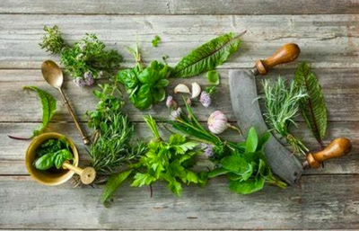 cuisine_herbe