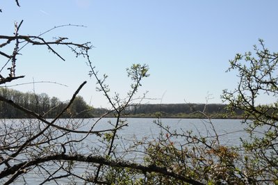 étang@BG