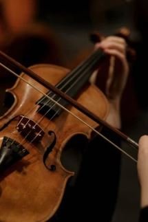Violon