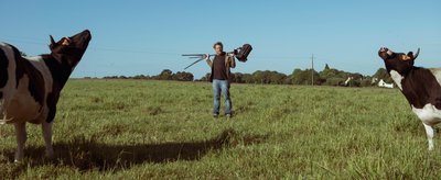 3V Simon Le Gall 2 mon pere avait 3 vaches