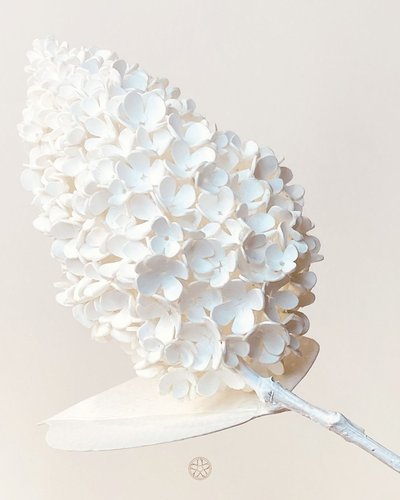 POST - Véronique Hermouet - 6